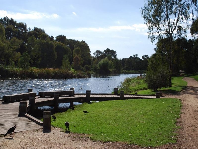 8 Carlow Avenue, Lockleys SA 5032