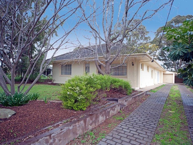 50 Torrens Avenue, Lockleys SA 5032