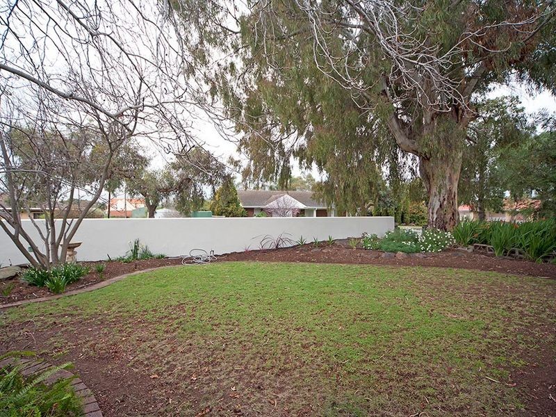 50 Torrens Avenue, Lockleys SA 5032