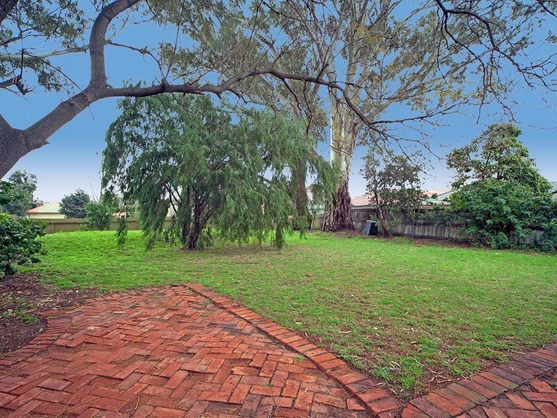 50 Torrens Avenue, Lockleys SA 5032