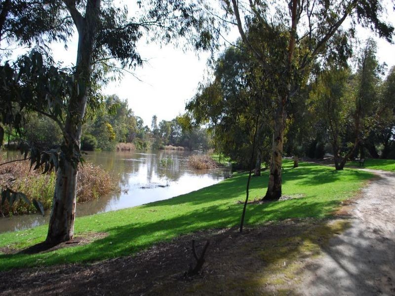 50 Torrens Avenue, Lockleys SA 5032