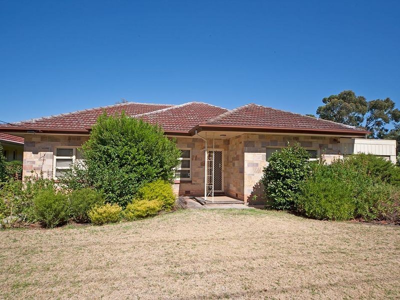 16 Durham Avenue, Lockleys SA 5032