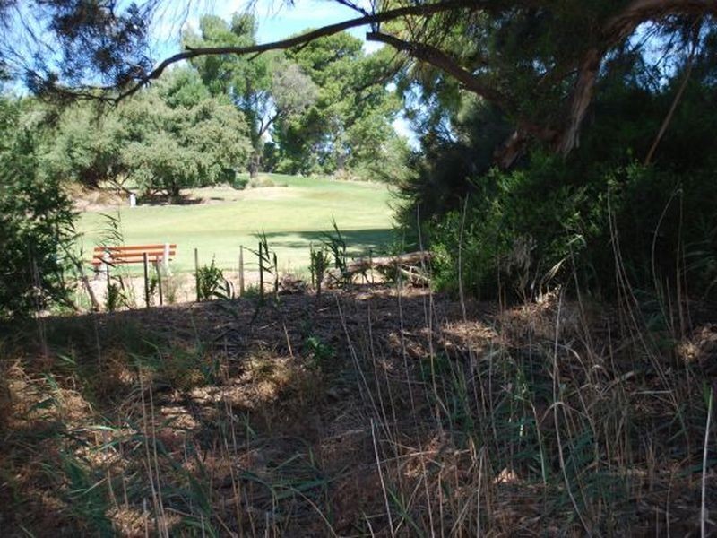 26 Strathmore Avenue, Lockleys SA 5032