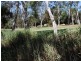 26 Strathmore Avenue, Lockleys SA 5032