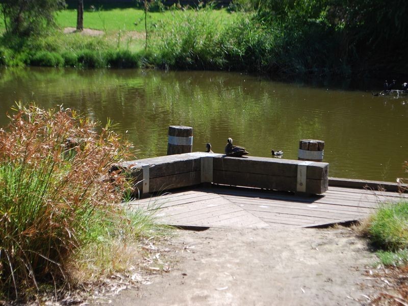 12 Rundle Avenue, Lockleys SA 5032