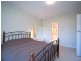 82 Autumn Avenue, Lockleys SA 5032