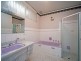 82 Autumn Avenue, Lockleys SA 5032