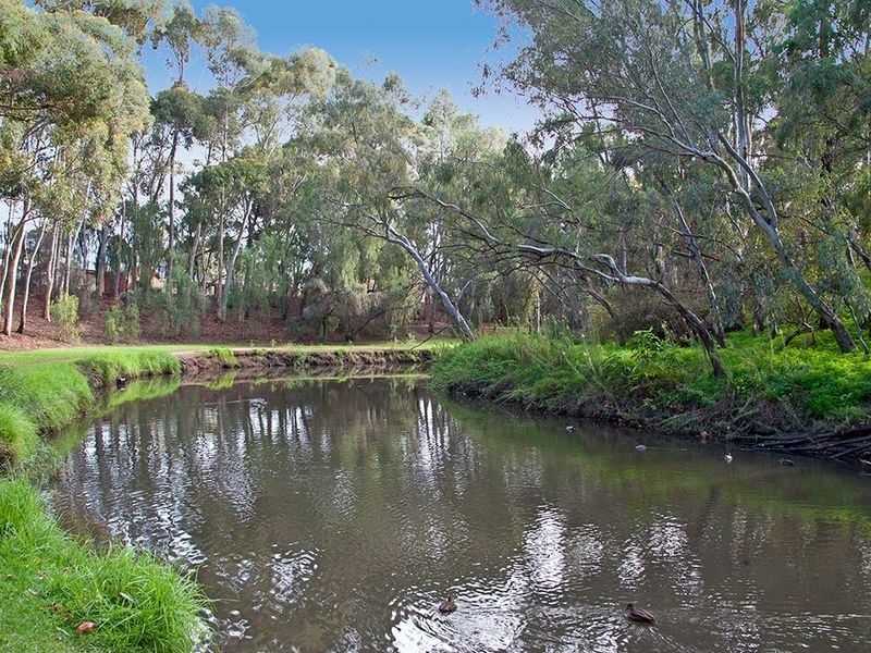 82 Autumn Avenue, Lockleys SA 5032