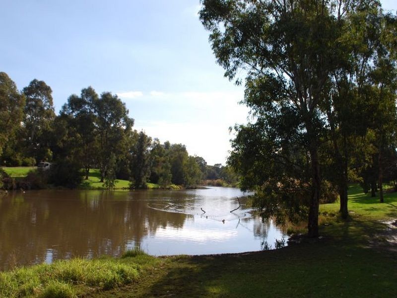 10 Rundle Avenue, Lockleys SA 5032