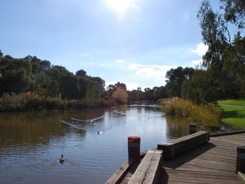 10 Rundle Avenue, Lockleys SA 5032