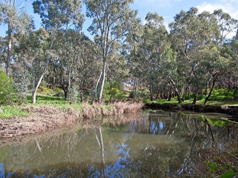 16 Azalea Drive, Lockleys SA 5032