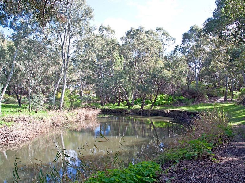 16 Azalea Drive, Lockleys SA 5032