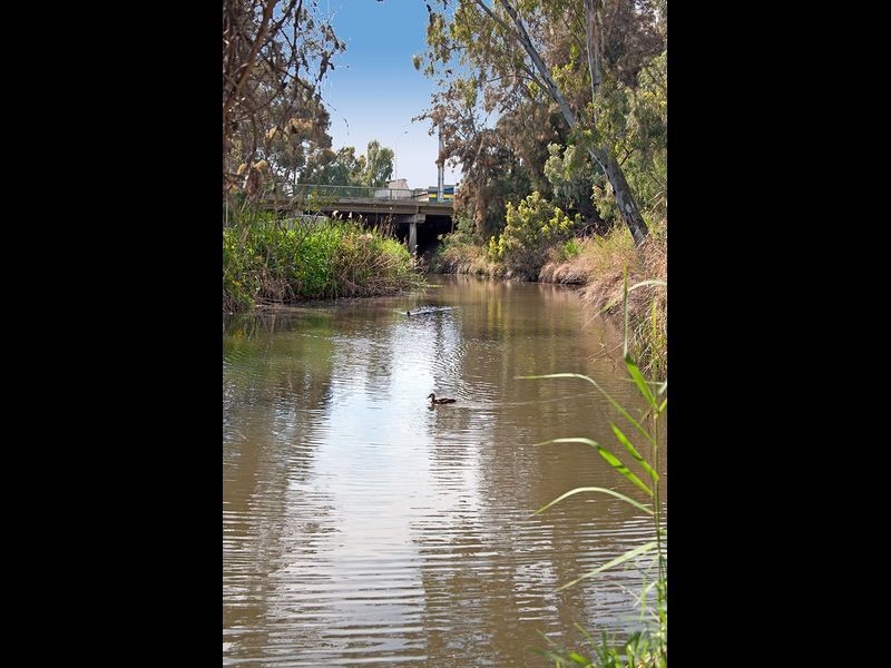 35A Douglas Street, Lockleys SA 5032