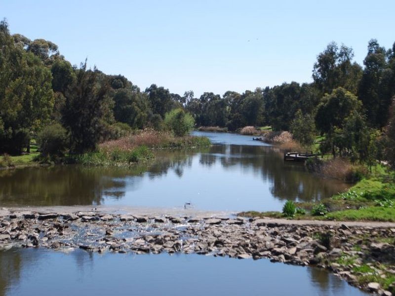 35A Douglas Street, Lockleys SA 5032