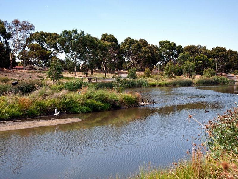 14 Cairns Avenue, Lockleys SA 5032