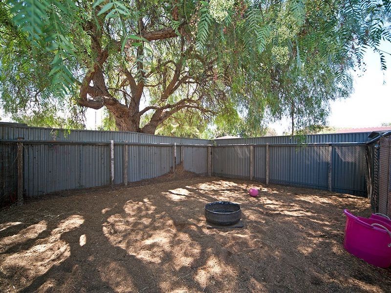 14 Cairns Avenue, Lockleys SA 5032