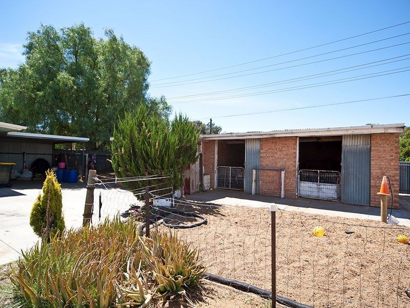 14 Cairns Avenue, Lockleys SA 5032