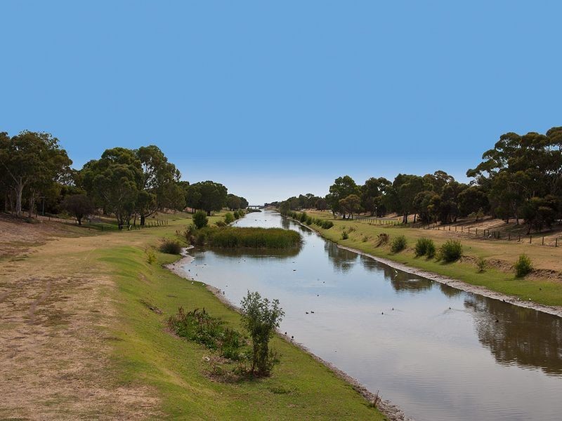 14 Cairns Avenue, Lockleys SA 5032