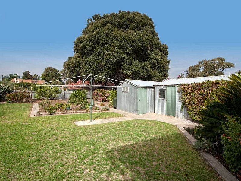 16 Kenton Street, Lockleys SA 5032