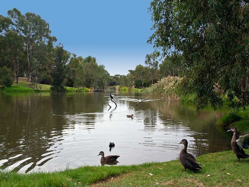 16 Kenton Street, Lockleys SA 5032