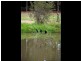 16 Kenton Street, Lockleys SA 5032