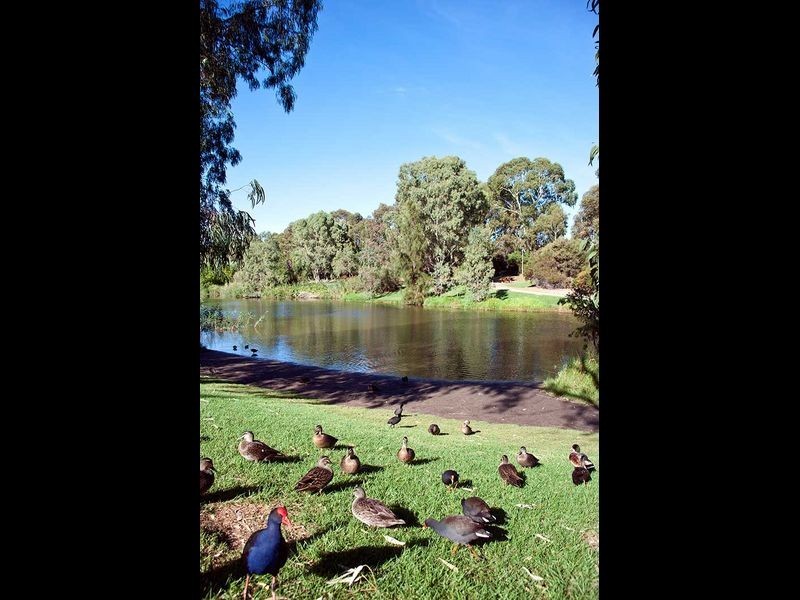 1 Rundle Avenue, Lockleys SA 5032