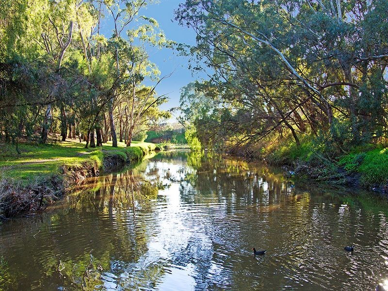 10 & 10A Autumn Avenue, Lockleys SA 5032