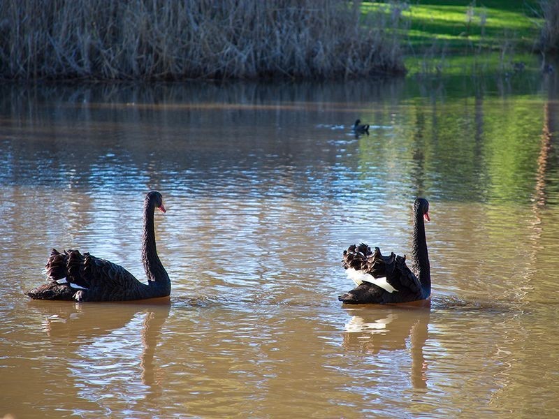 3/540 Tapleys Hill Road, Fulham Gardens SA 5024