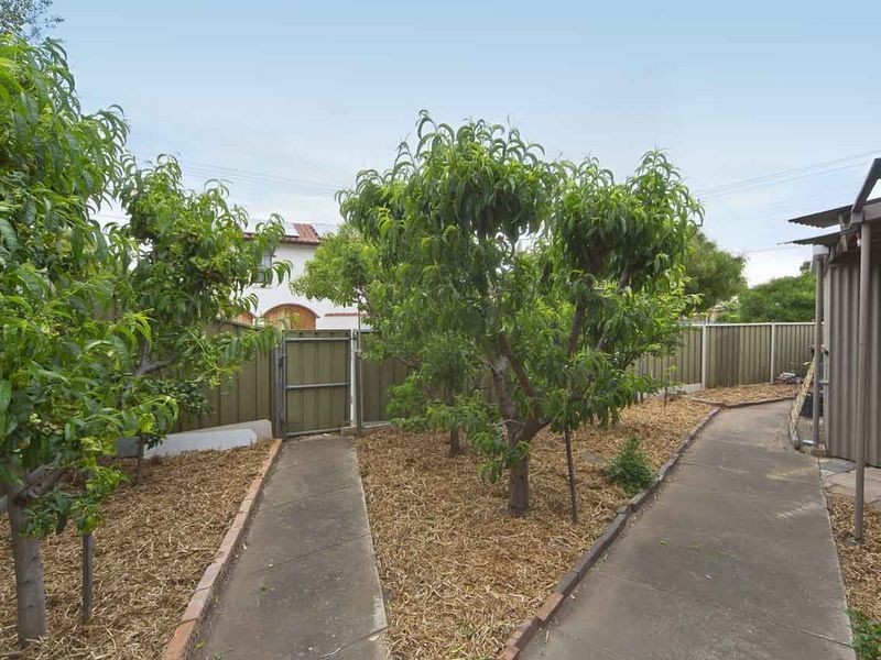 35 Torrens Avenue, Lockleys SA 5032