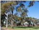 35 Lorraine Avenue, Lockleys SA 5032