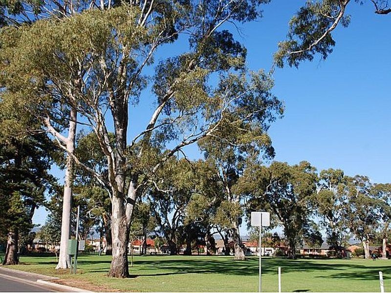 35 Lorraine Avenue, Lockleys SA 5032