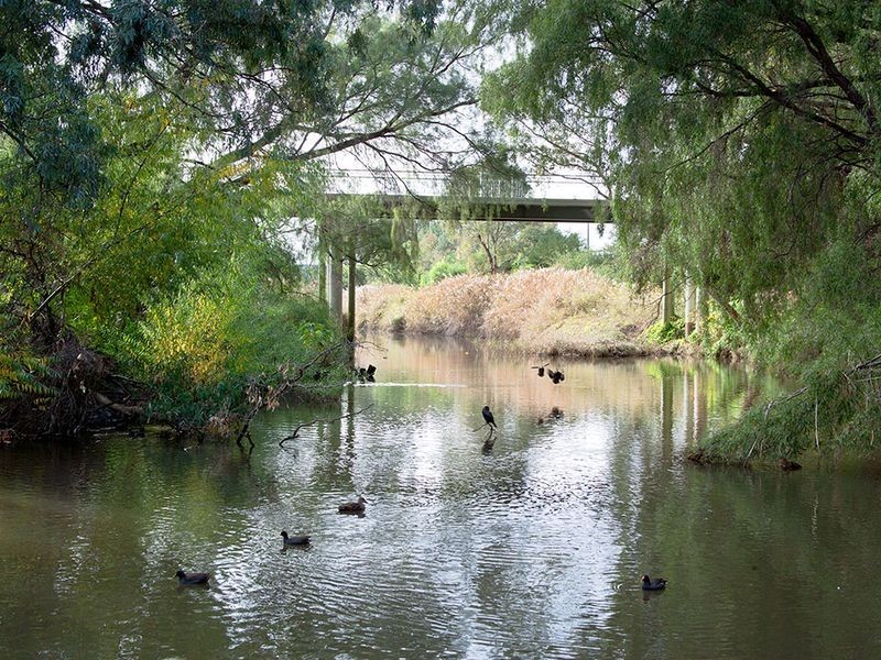 35 Lorraine Avenue, Lockleys SA 5032