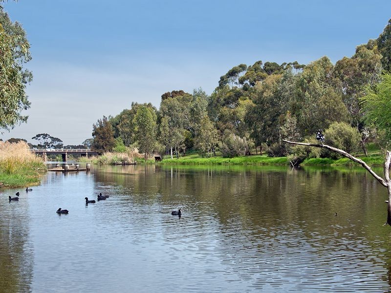 13 Grallina Street, Lockleys SA 5032