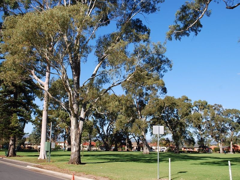 13 Grallina Street, Lockleys SA 5032