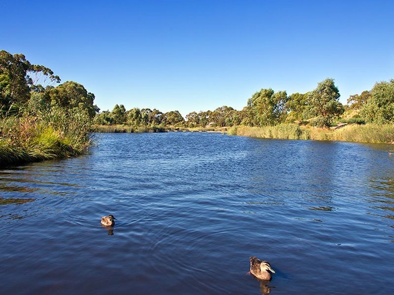 4/444 Henley Beach Road, Lockleys SA 5032