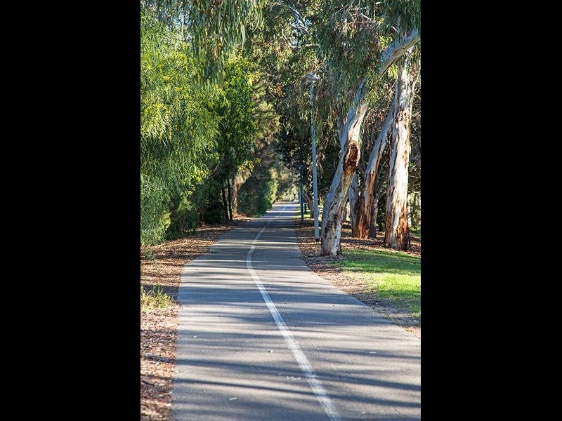 21 Fulham Park Drive, Lockleys SA 5032