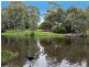 10 Durham Avenue, Lockleys SA 5032