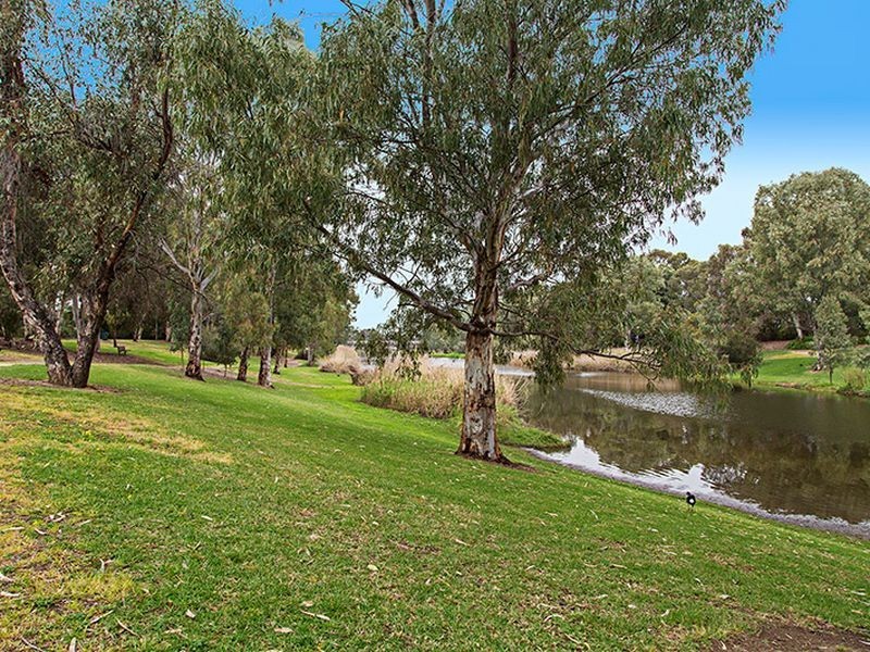 10 Durham Avenue, Lockleys SA 5032