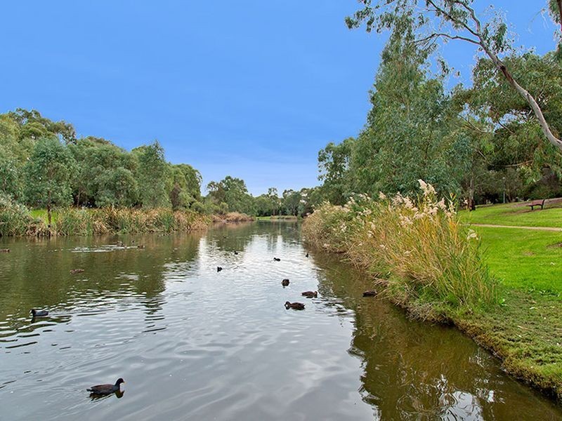 11 Counter Avenue, Lockleys SA 5032