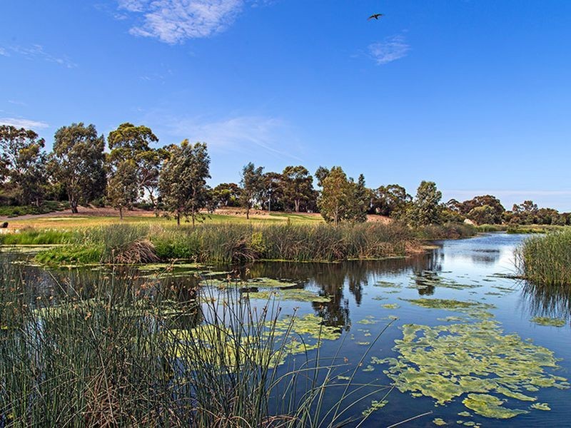 1/1 Moresby Street, Lockleys SA 5032