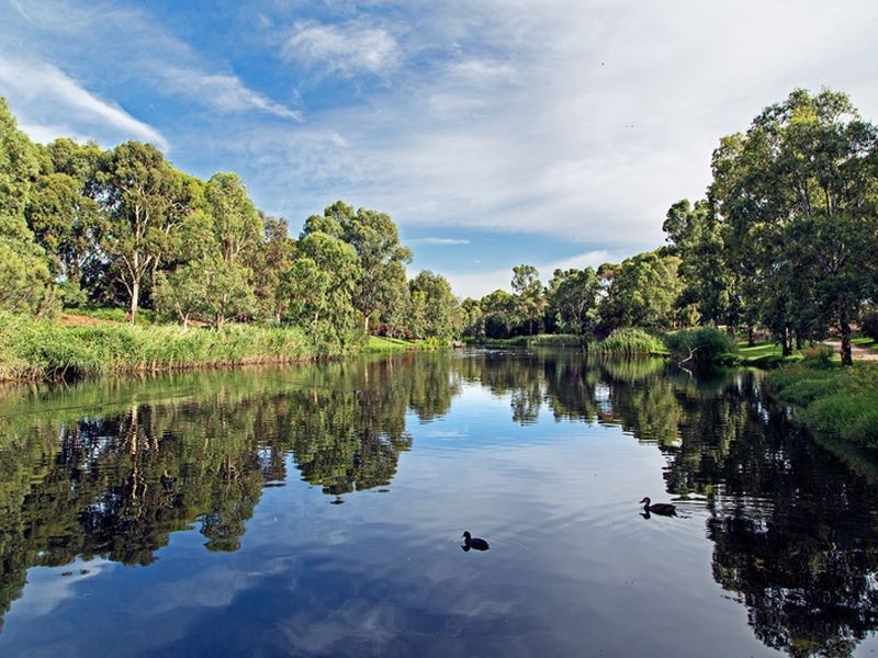 16A Fulham Park Drive, Lockleys SA 5032