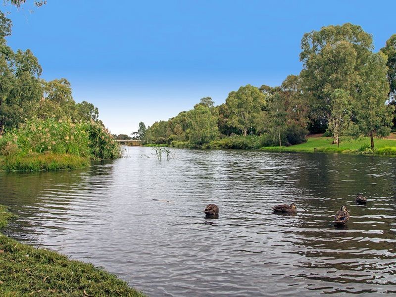 11 Castlebar Road, Lockleys SA 5032