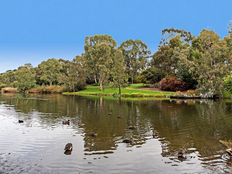 13 Dartmoor Street, Lockleys SA 5032