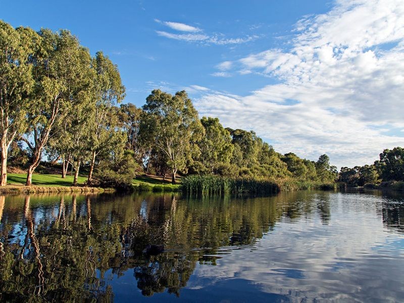 28 Mamande Crescent, Lockleys SA 5032