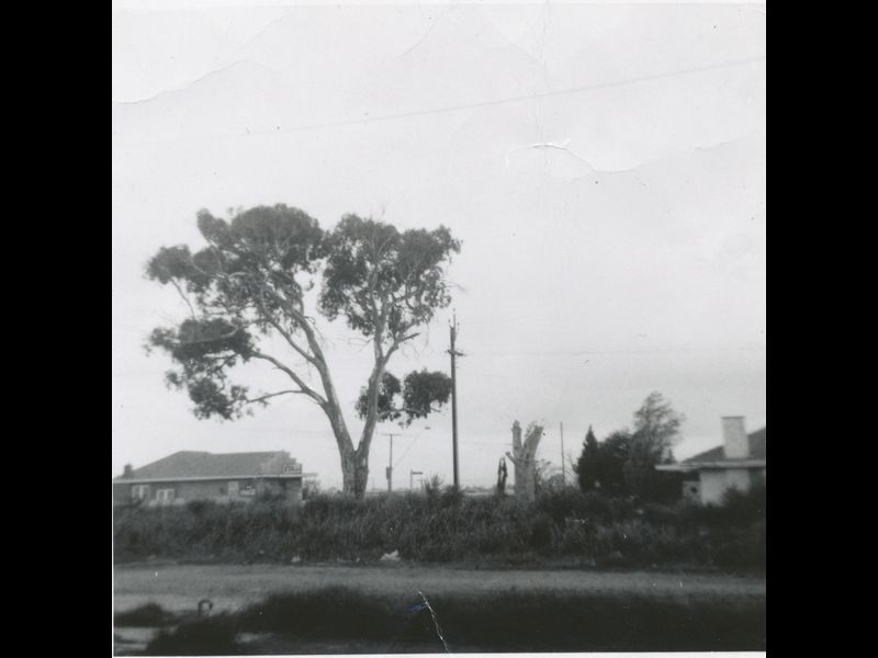 49 Henley Beach Road, Henley Beach South SA 5022