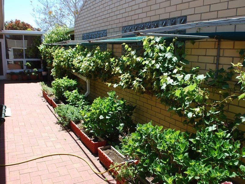 1/66 Henley Beach Road, Henley Beach SA 5022