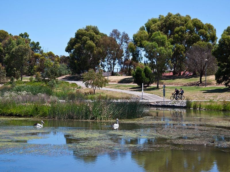 31 Rutland Avenue, Lockleys SA 5032