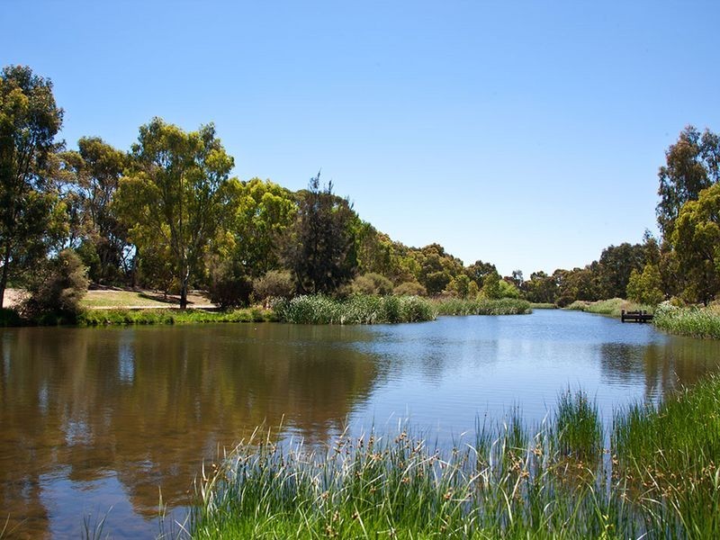 31 Rutland Avenue, Lockleys SA 5032