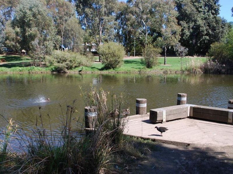 5 Castlebar Road, Lockleys SA 5032