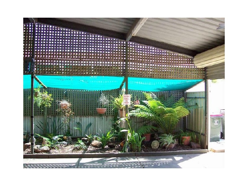 25 Flavian Crescent, Morphett Vale SA 5162